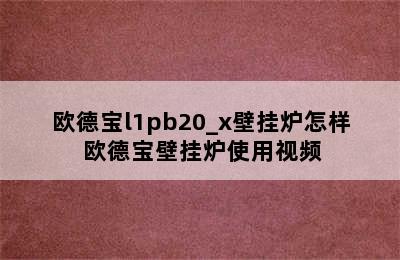 欧德宝l1pb20_x壁挂炉怎样 欧德宝壁挂炉使用视频